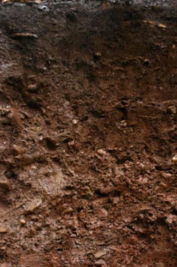 Windesheimer Sonnenmorgen · Weingut Lindenhof Windesheim Windesheimer Sonnenmorgen · Weingut Lindenhof Windesheim