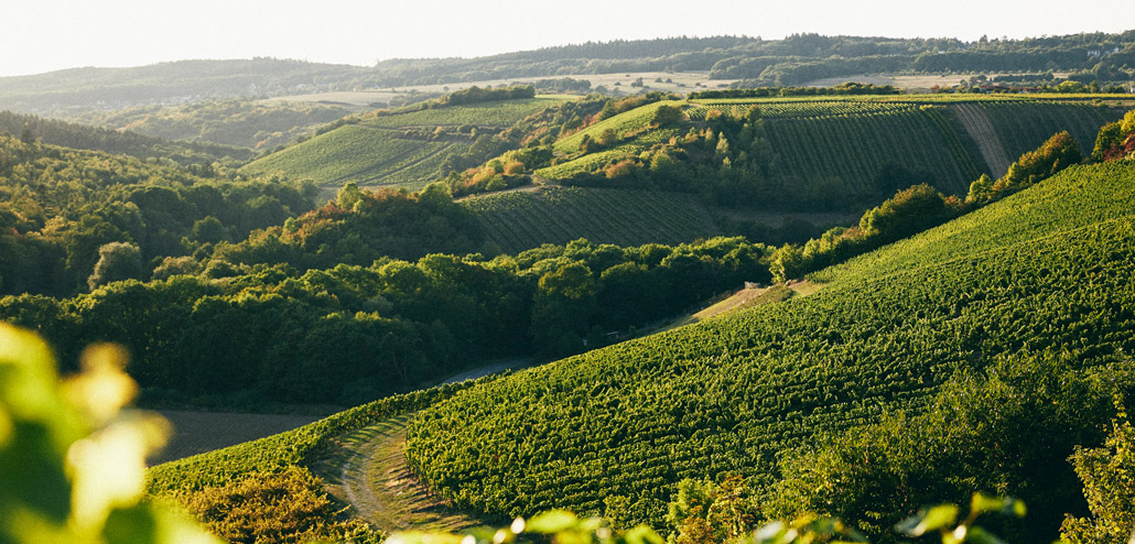 weingut-lindenhof-lagen-02
