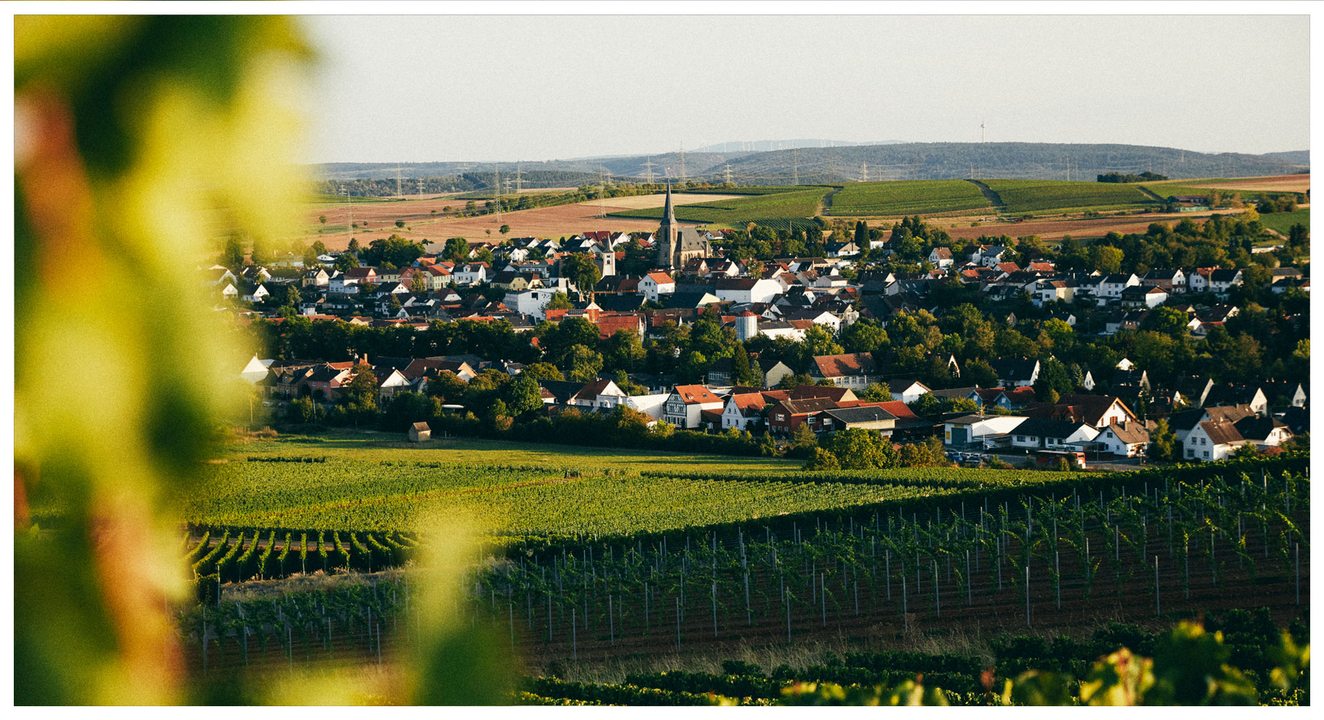 weingut-lindenhof-windesheim-06