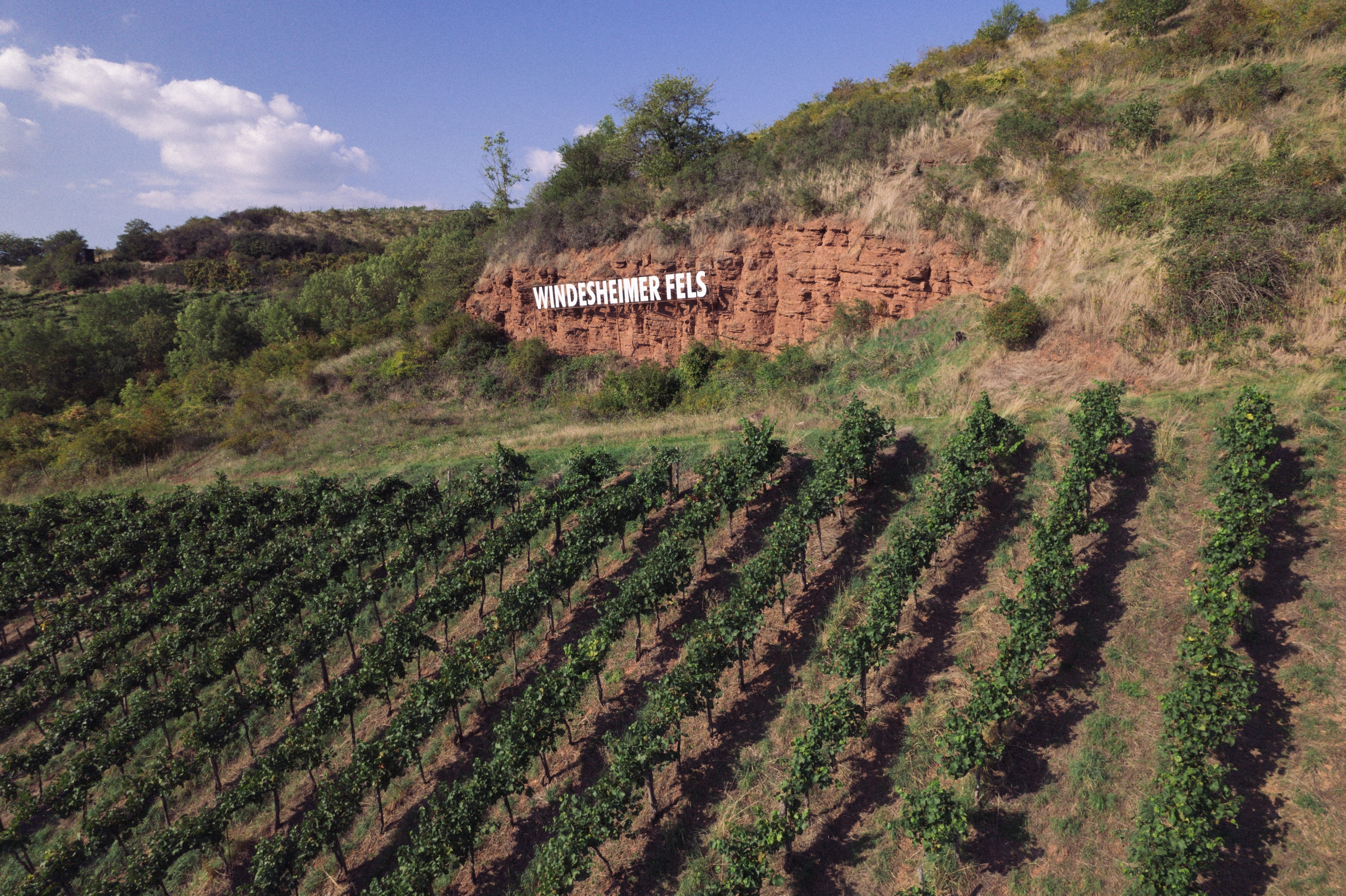 Windesheimer-Fels-Weingut-Lindenhof-08