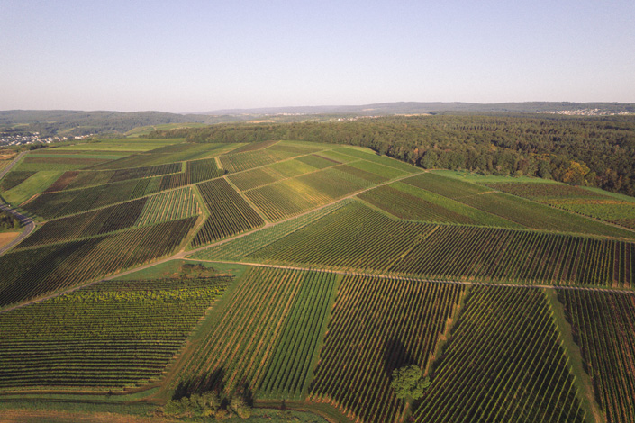 Windesheimer Roemerberg · Weingut Lindenhof · Windesheim Windesheimer Roemerberg · Weingut Lindenhof · Windesheim