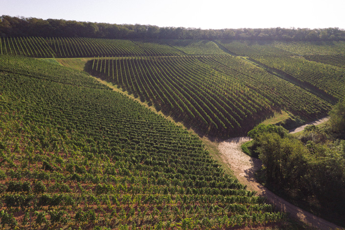 Windesheimer Roemerberg · Weingut Lindenhof · Windesheim Windesheimer Roemerberg · Weingut Lindenhof · Windesheim