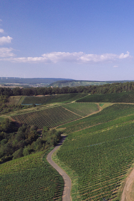 Windesheimer Roemerberg · Weingut Lindenhof · Windesheim Windesheimer Roemerberg · Weingut Lindenhof · Windesheim