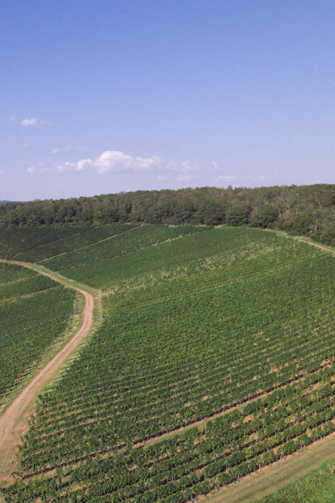 Windesheimer Roemerberg · Weingut Lindenhof · Windesheim Windesheimer Roemerberg · Weingut Lindenhof · Windesheim