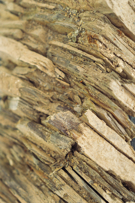 Schiefer · Bodenpfrofil vom Schweppenhäuser Steyerberg · Weingut Lindenhof Windesheim Schiefer · Bodenpfrofil vom Schweppenhäuser Steyerberg · Weingut Lindenhof Windesheim