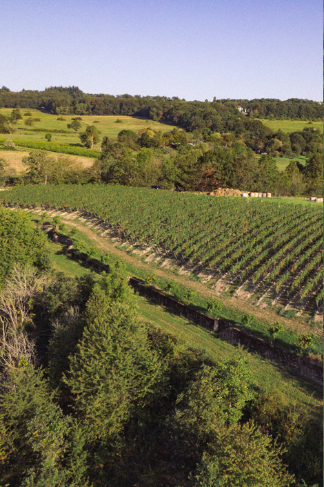 Schweppenhäuser Steyerberg · Weingut Lindenhof Windesheim Schweppenhäuser Steyerberg · Weingut Lindenhof Windesheim