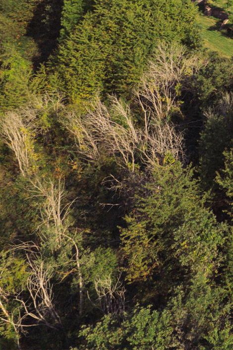 Schweppenhäuser Steyerberg · Weingut Lindenhof Windesheim Schweppenhäuser Steyerberg · Weingut Lindenhof Windesheim